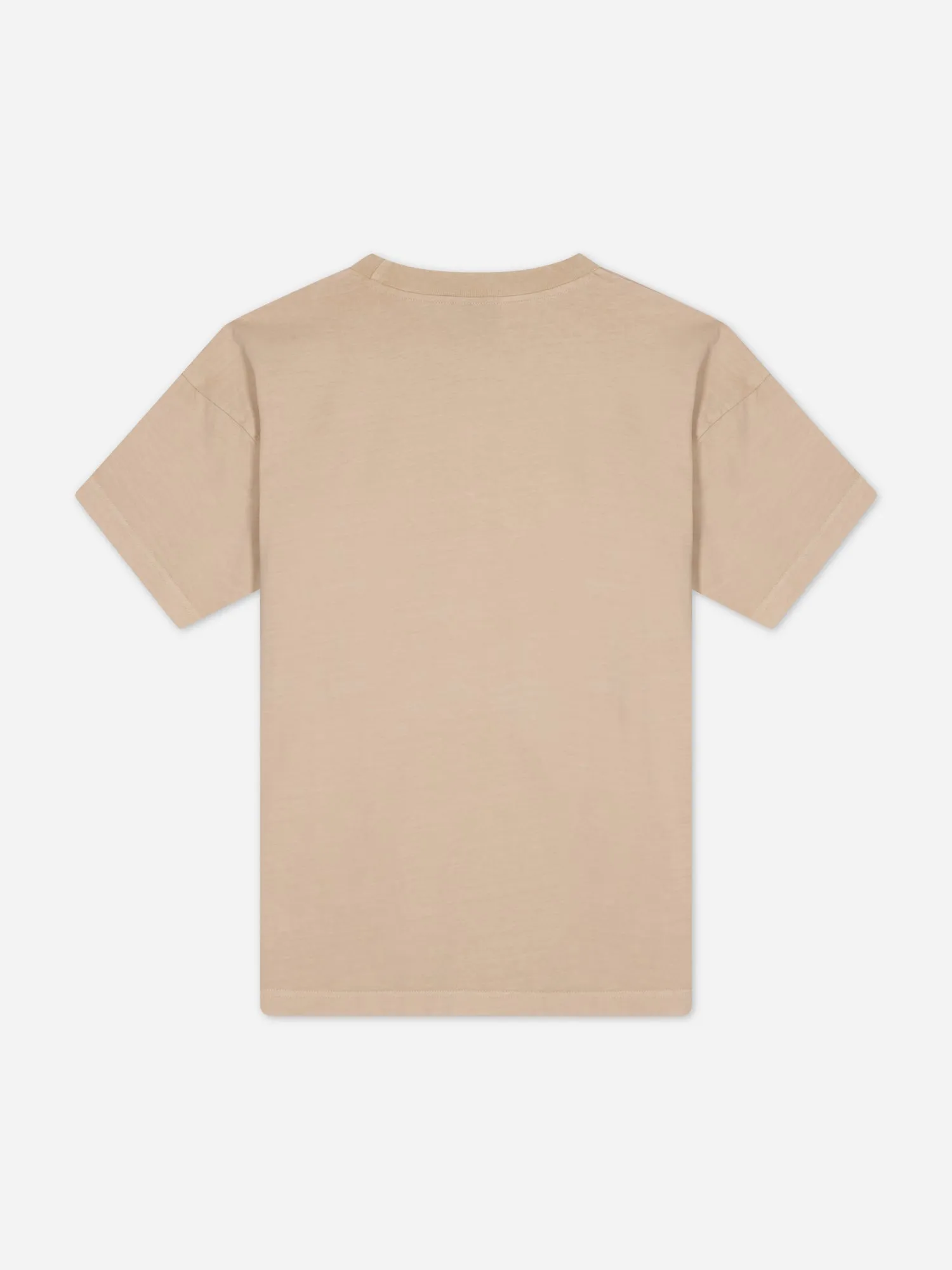 NICCE Mens Mercury Oversized T-Shirt | Stone